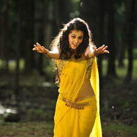 Taapsee Pannu - Mogudu movie latest spicy stills | Picture 100138